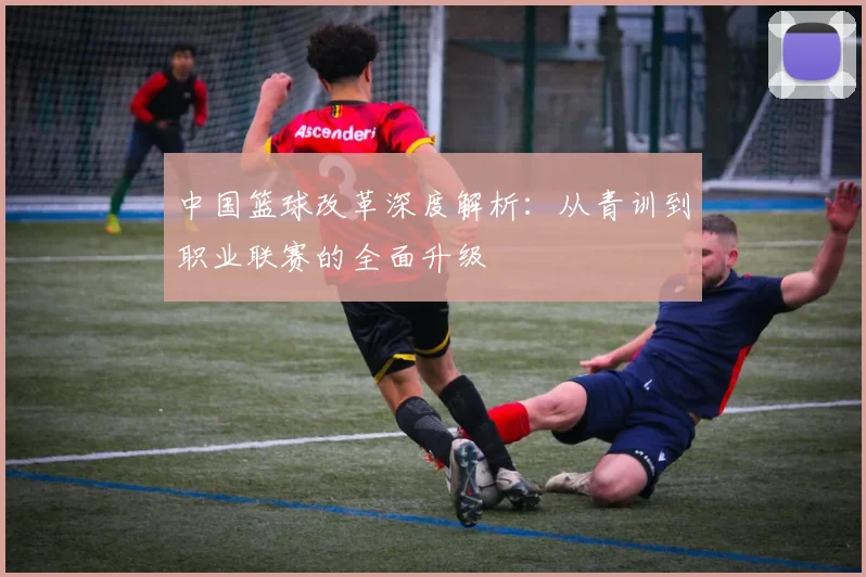 中国篮球改革深度解析：从青训到职业联赛的全面升级