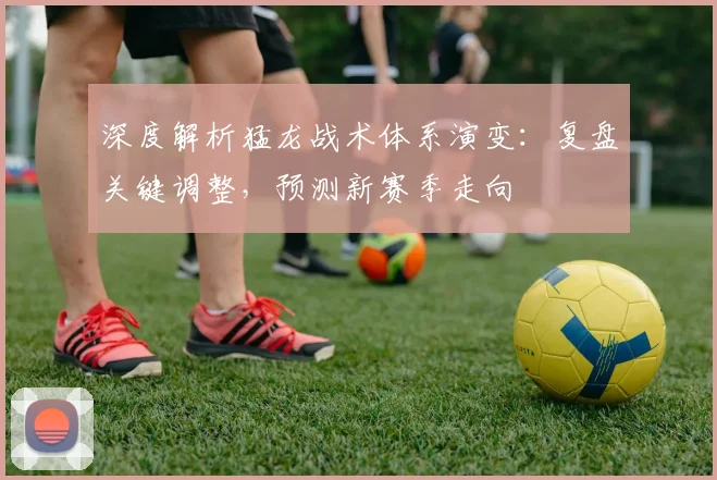 深度解析猛龙战术体系演变:复盘关键调整,预测新赛季走向